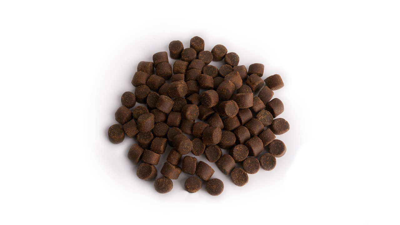 aller-ap karma dla ryb